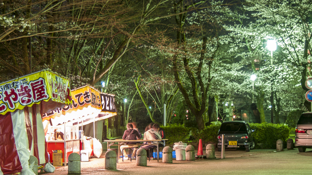 夜桜スタンバイOK⑤