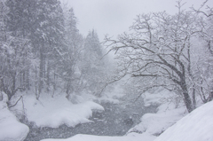 荘川雪景色