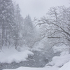 荘川雪景色