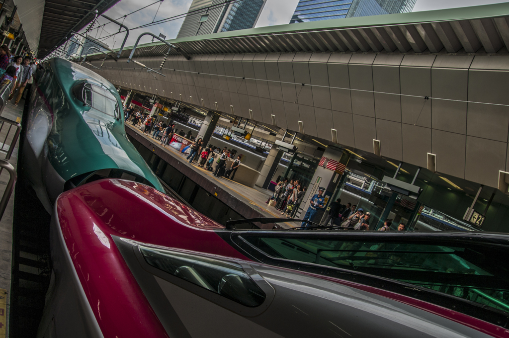 東京駅（東北新幹線E5♥E6）