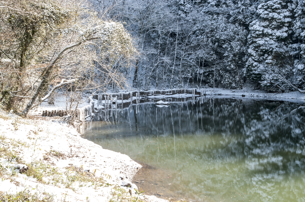 下池の雪景色①
