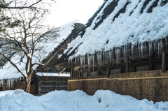 大屋根の氷柱