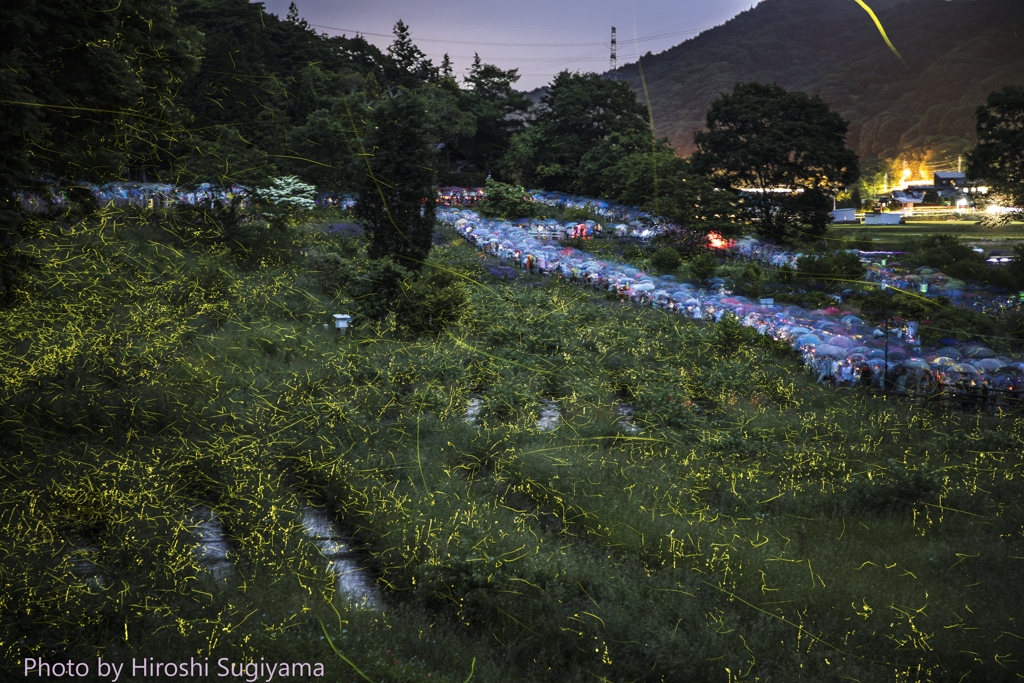 辰野ほたる祭り17 By ねえ やまっち Id 677 写真共有サイト Photohito