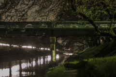 夜桜番外編その３