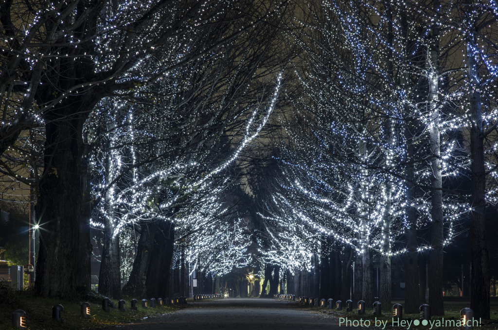 Silent night