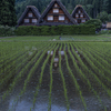 苗鏡の世界遺産