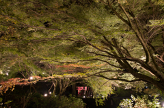 古城山稲荷、紅の小径