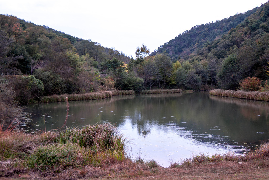各務野の自然公園の散策⑥