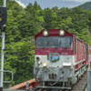 森林鉄道トロッコ列車