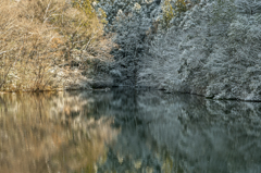 上池の雪景色