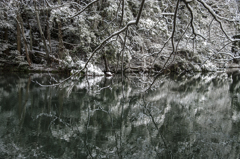 中池の雪景色④