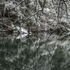 中池の雪景色④