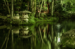 岐阜公園の夜の池畔