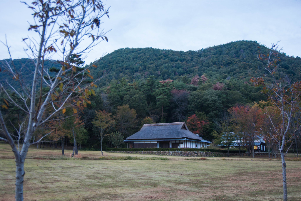 各務野の自然公園の散策⑦