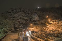 金華山トンネル冬景色