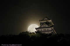 朧月夜に稲葉山城Ⅱ