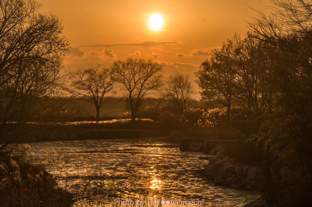 木曽川水園の夕辺に