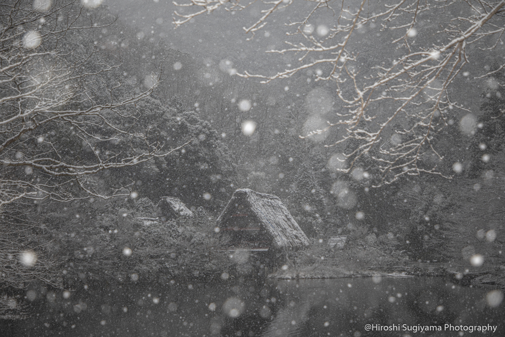 茅葺屋根の雪化粧（松尾池）