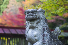 大矢田神社③