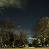 学びの森の夜