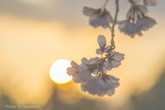 夕暮れに染まる