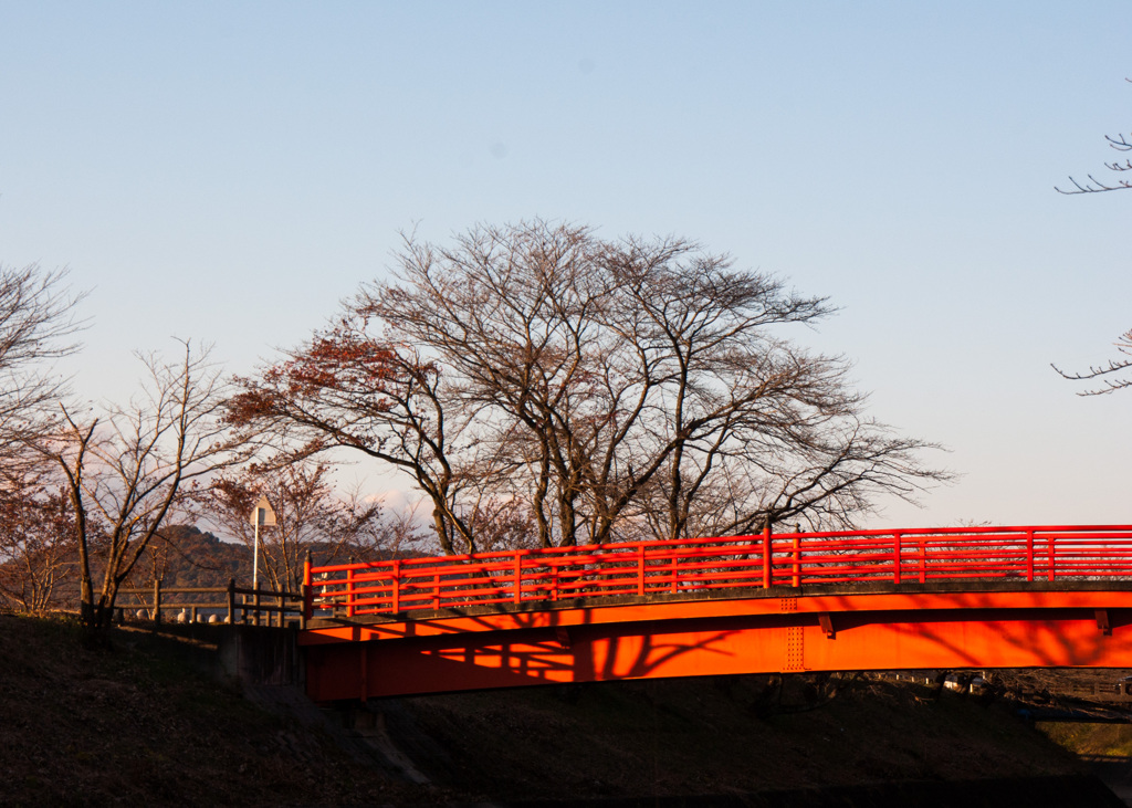 三井池公園の龍神橋