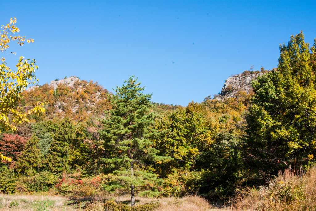 里山の散策①