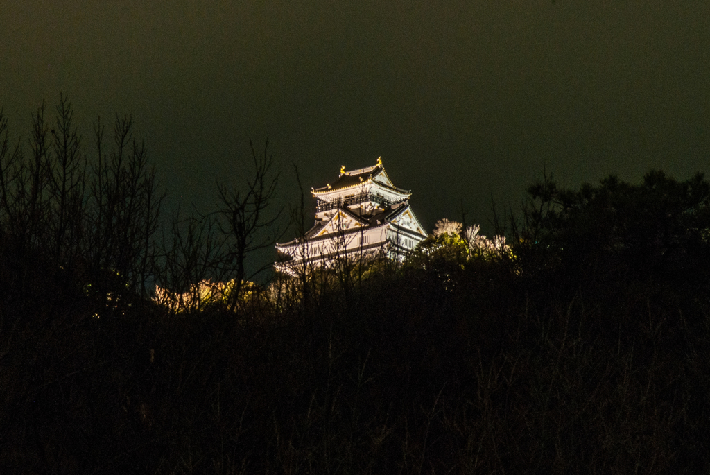 岐阜城の冬夜景（南からの眺め）