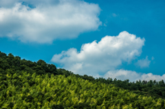 夏、空と雲そして緑①