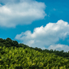 夏、空と雲そして緑①