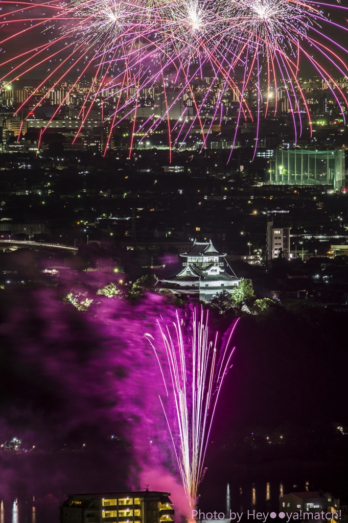 納涼花火大会「日本ライン夏まつり」