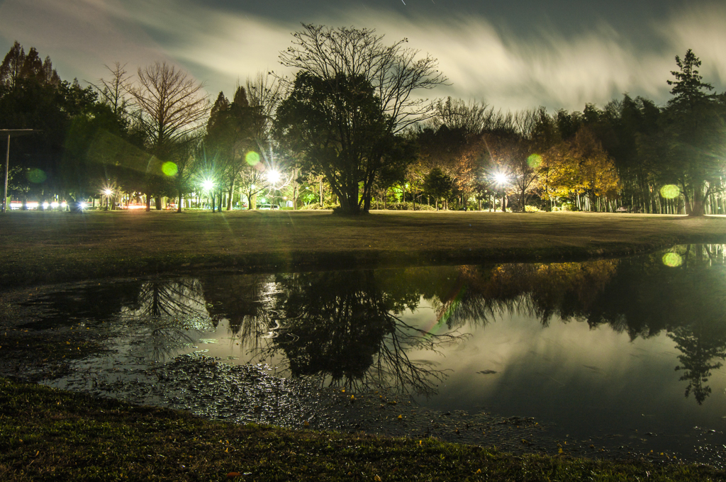 学びの森の寒い夜