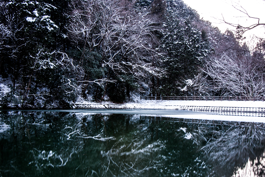 上池の遊歩道