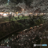 花見橋から