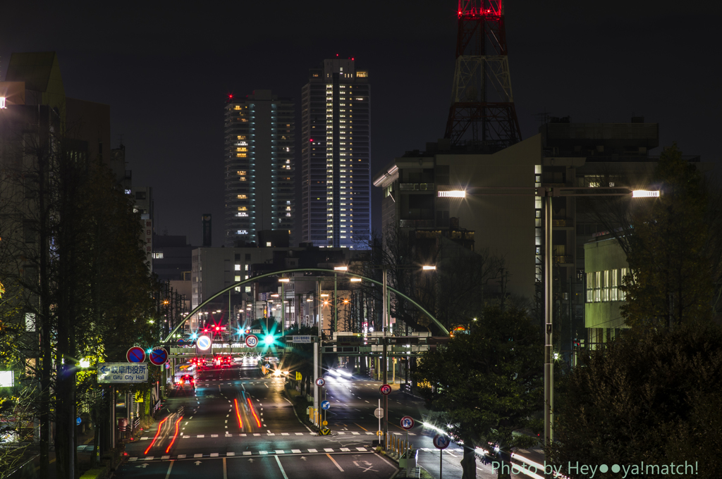 岐阜市街地（柳ケ瀬・岐阜駅前方面）