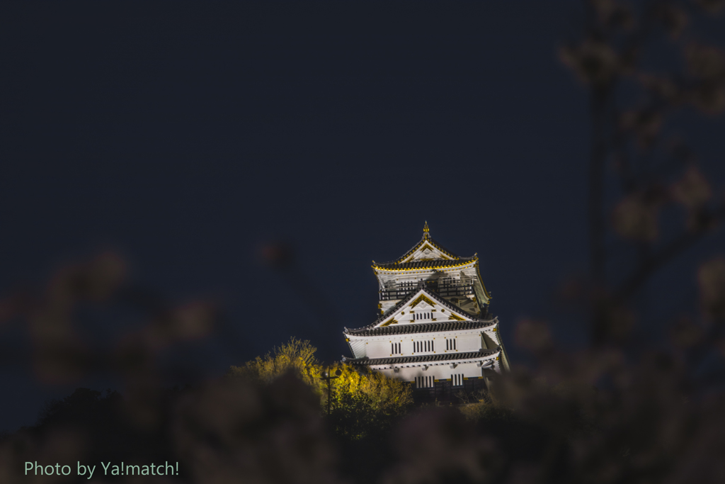 春色な稲葉山城