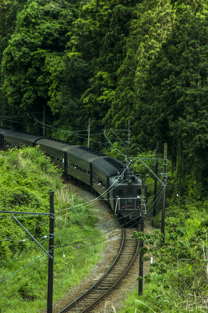 G.Wの夢乗せて～新緑の大井川鉄道Ⅱ