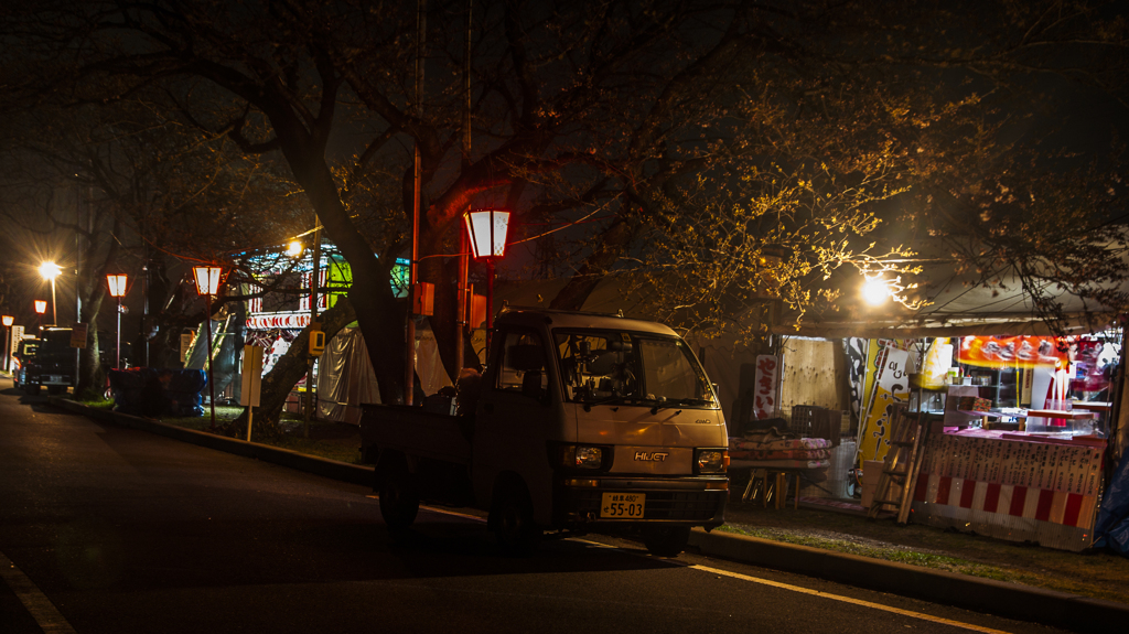 夜桜スタンバイOK③