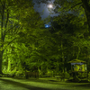 満月の夜（岐阜公園の菊人形）