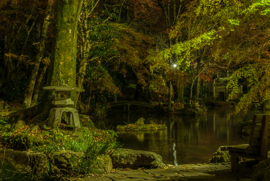 岐阜公園の庭園（池①）
