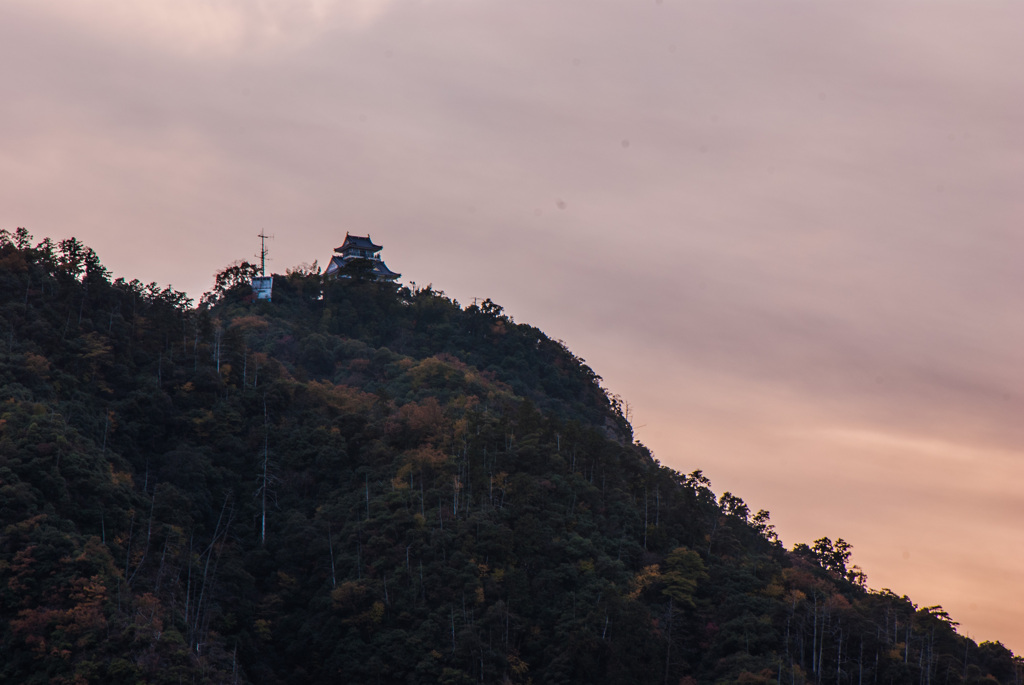 金華山の頂から