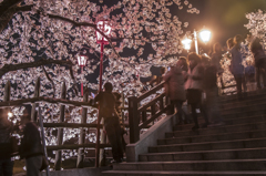 一夜城の夜桜見物（２）