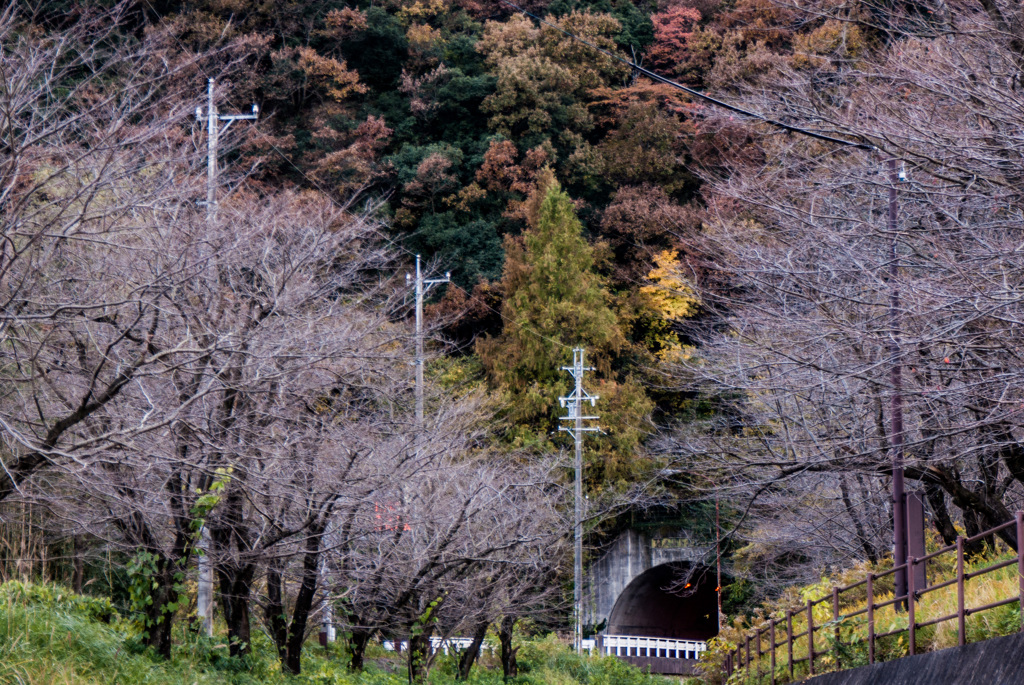 兎走山トンネル