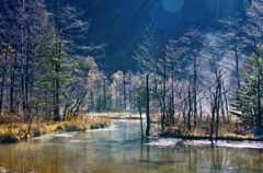 早朝の田代池