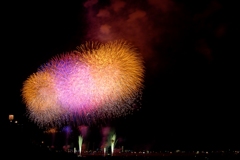 江戸川の花火