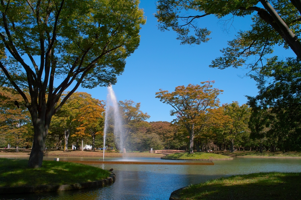 代々木公園