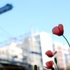 晴れた