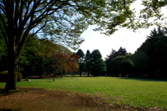 10月の公園