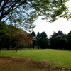 10月の公園