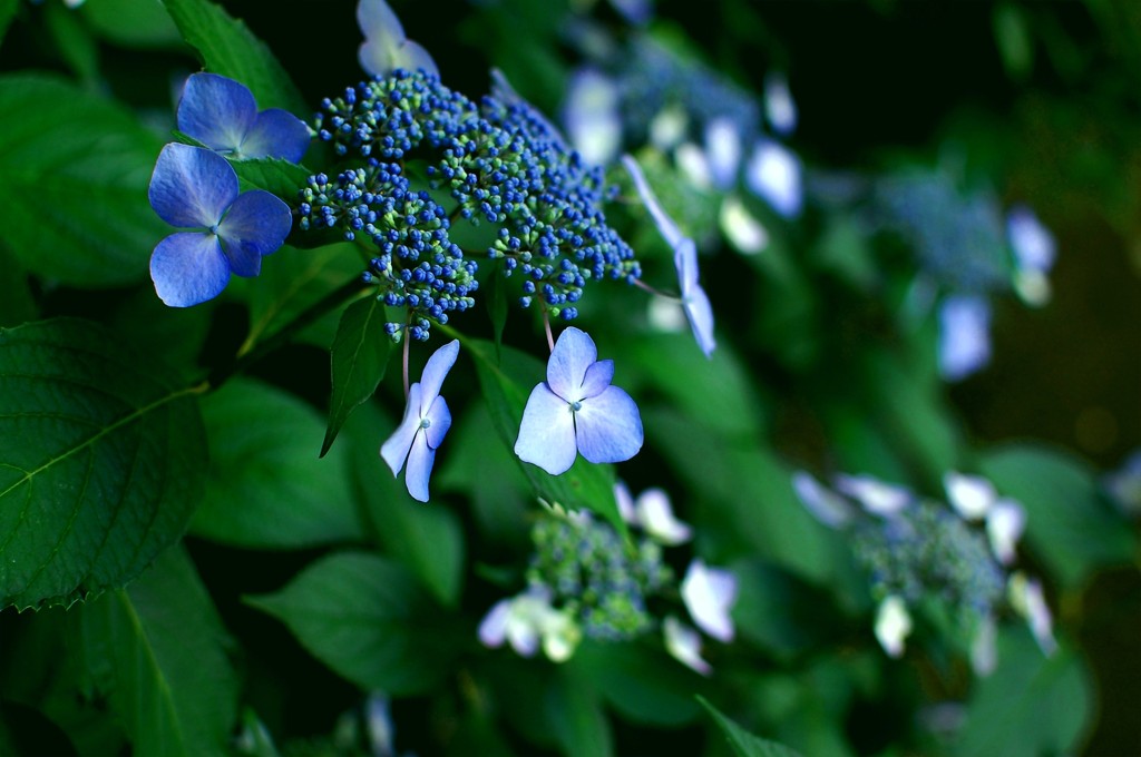 6月